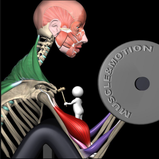 Strength Training by M&M icon