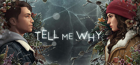Tell Me Why game