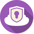 privatevpn.com banner