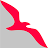 airarabia.com favicon