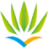 aircaraibes.com favicon