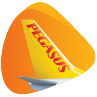 flypgs.com favicon