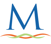 msfiber.net favicon