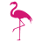 silverairways.com favicon